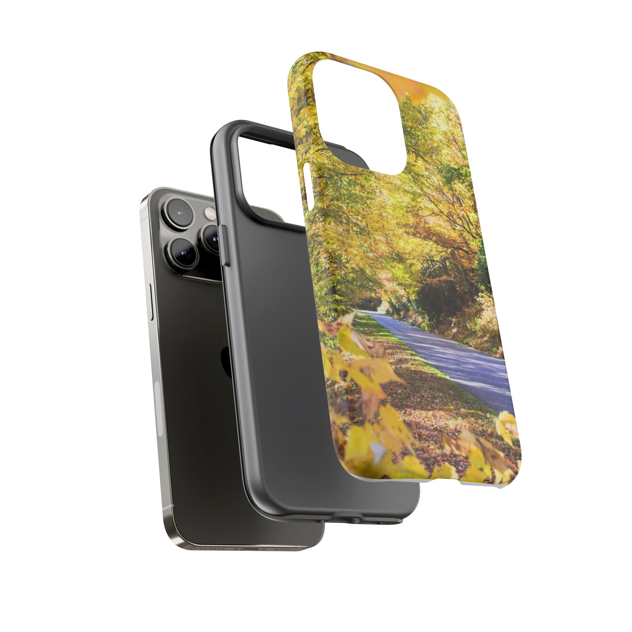 Autumn Landscape Phone Case - Nature Lover Gift, Fall Decor, Eco-Friendly Case, Phone Accessory for Hiking Enthusiasts