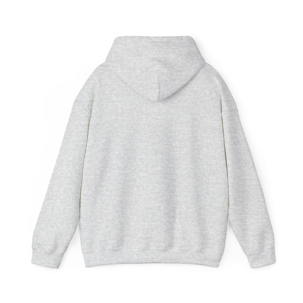 Fleece Hoodie - Fall Color in the Blue Ridge Mountains Graphic