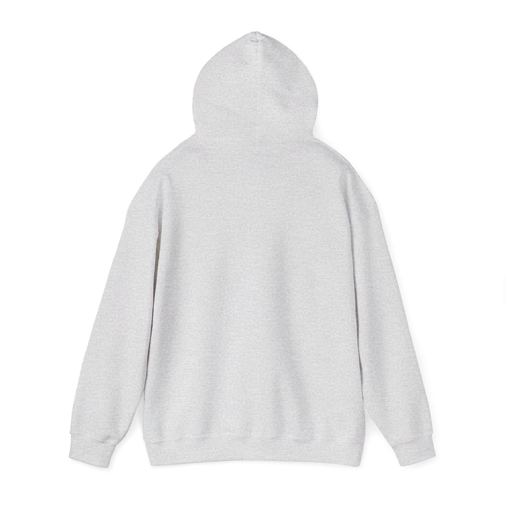 Fleece Hoodie - Fall Color in the Blue Ridge Mountains Graphic