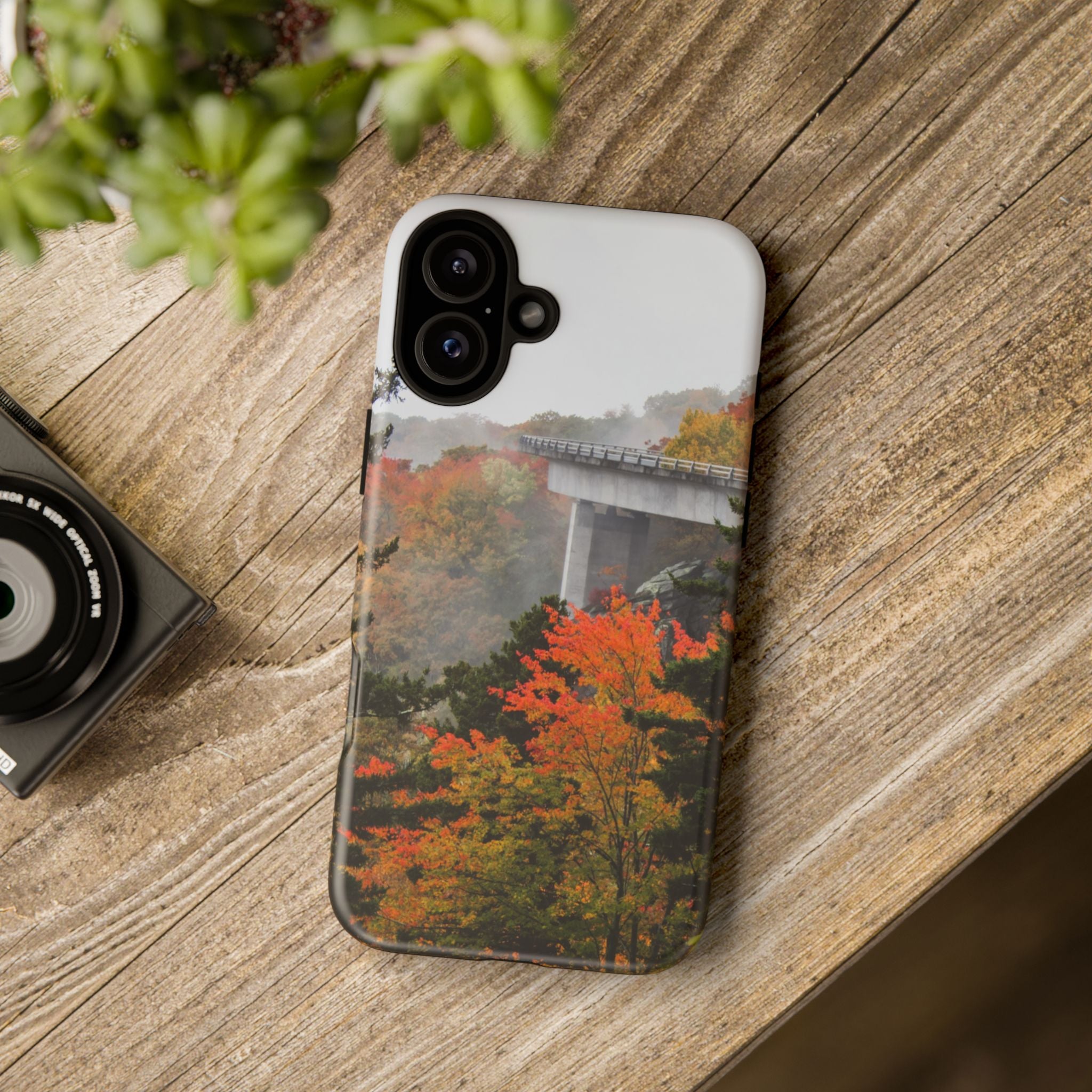 Autumn Landscape Phone Case, Fall Phone Cover, Tough Cases, Nature Lover Gift, Seasonal Decor
