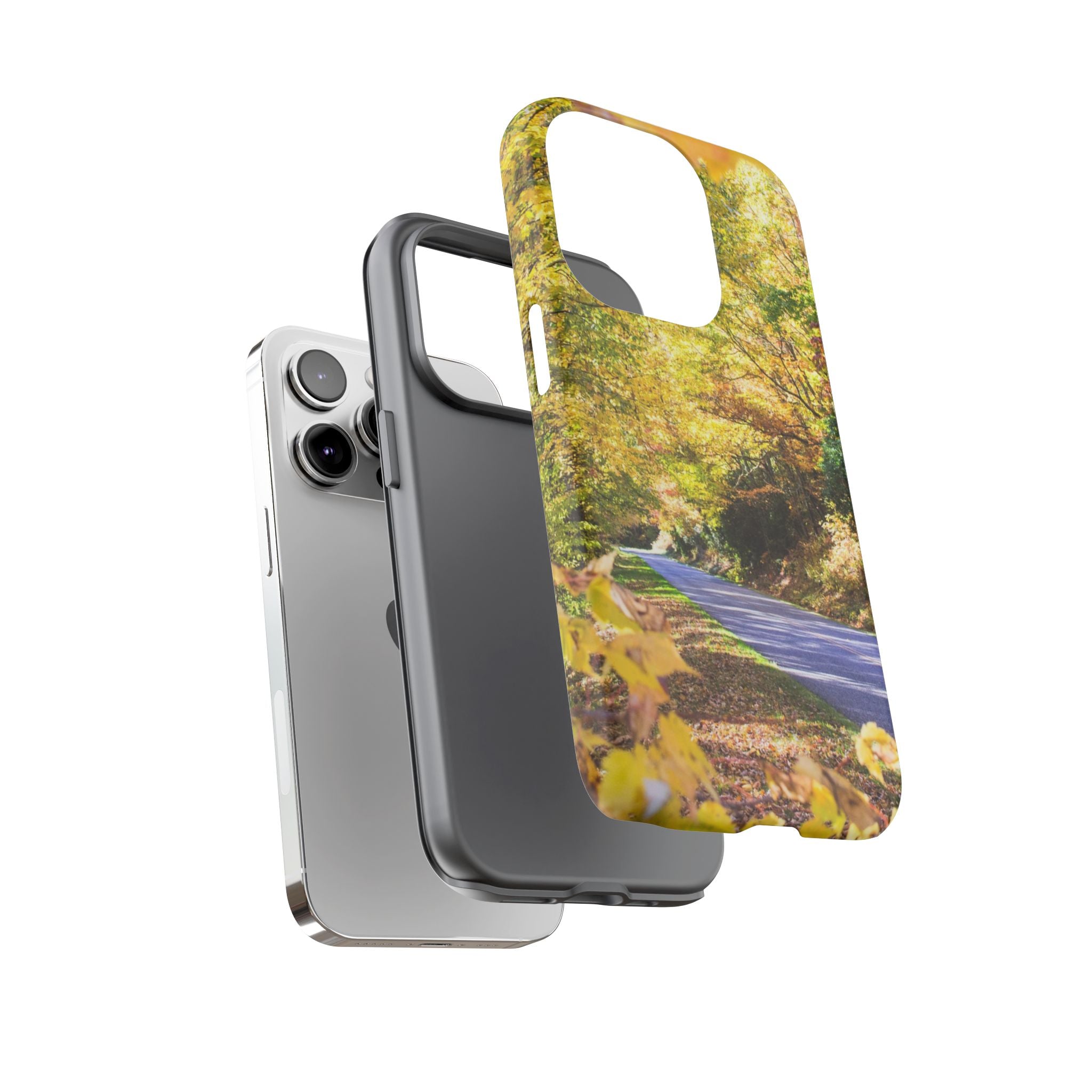 Autumn Landscape Phone Case - Nature Lover Gift, Fall Decor, Eco-Friendly Case, Phone Accessory for Hiking Enthusiasts