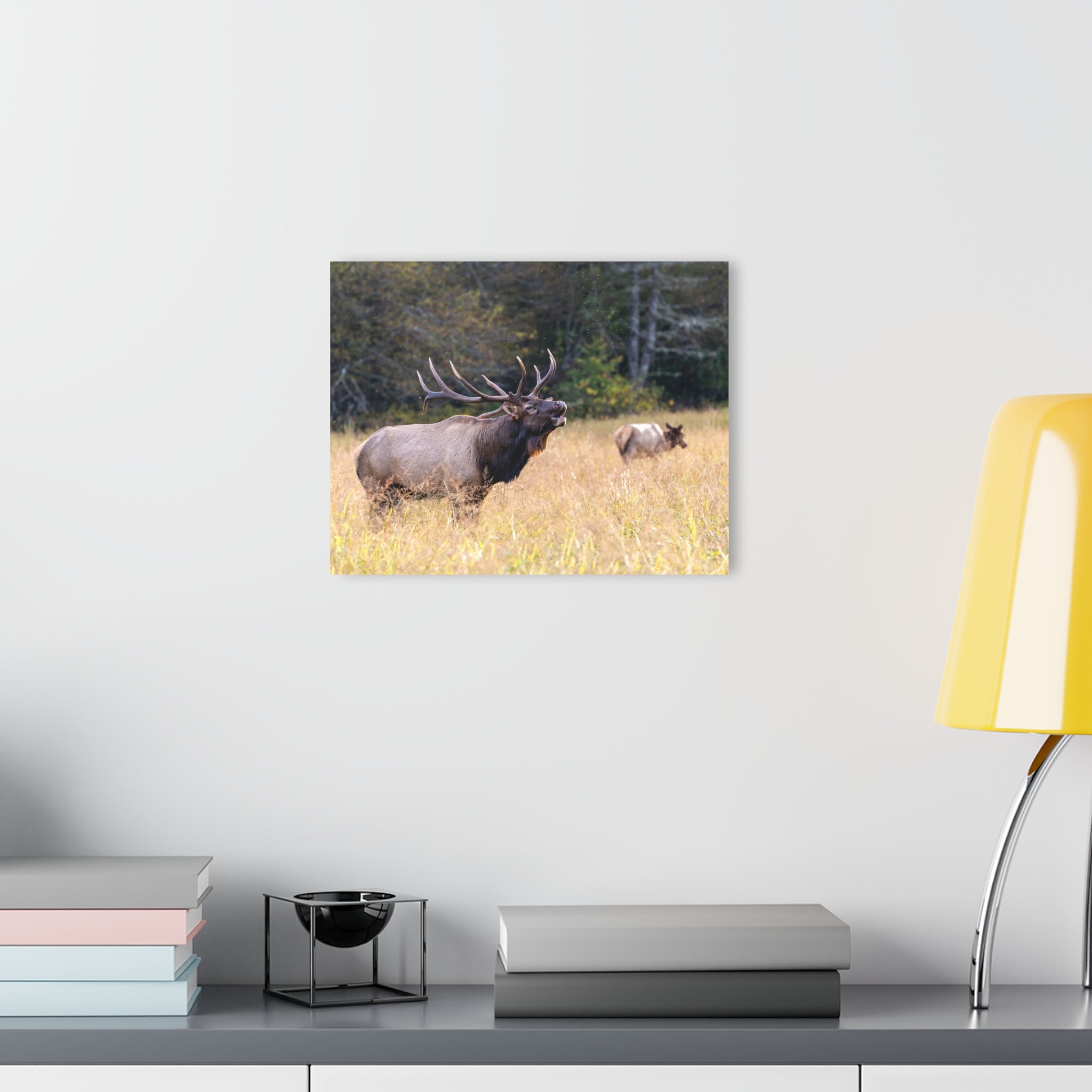 Nature-Inspired Acrylic Wall Art Print, Home Decor, Rustic Wall Art, Elk Photography, Wildlife Lover Gift, Wall Hanging Decoration