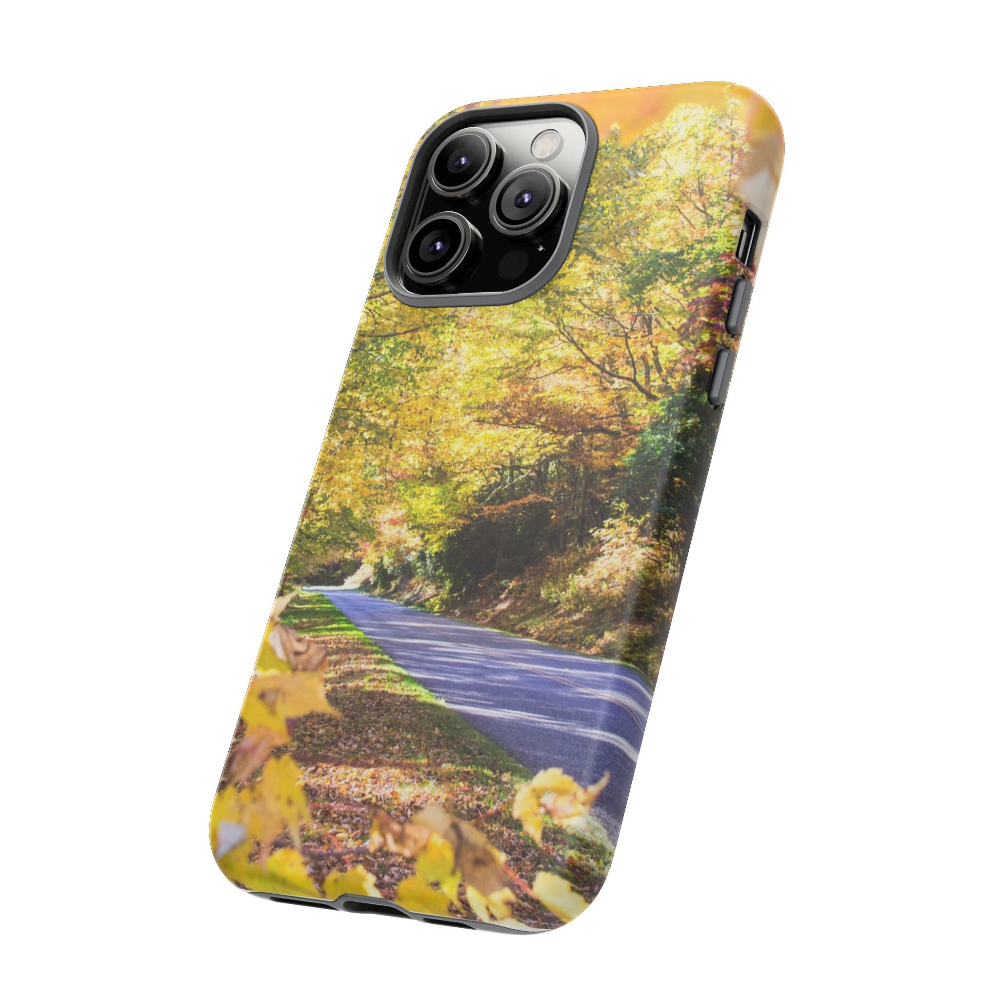 Autumn Landscape Phone Case - Nature Lover Gift, Fall Decor, Eco-Friendly Case, Phone Accessory for Hiking Enthusiasts