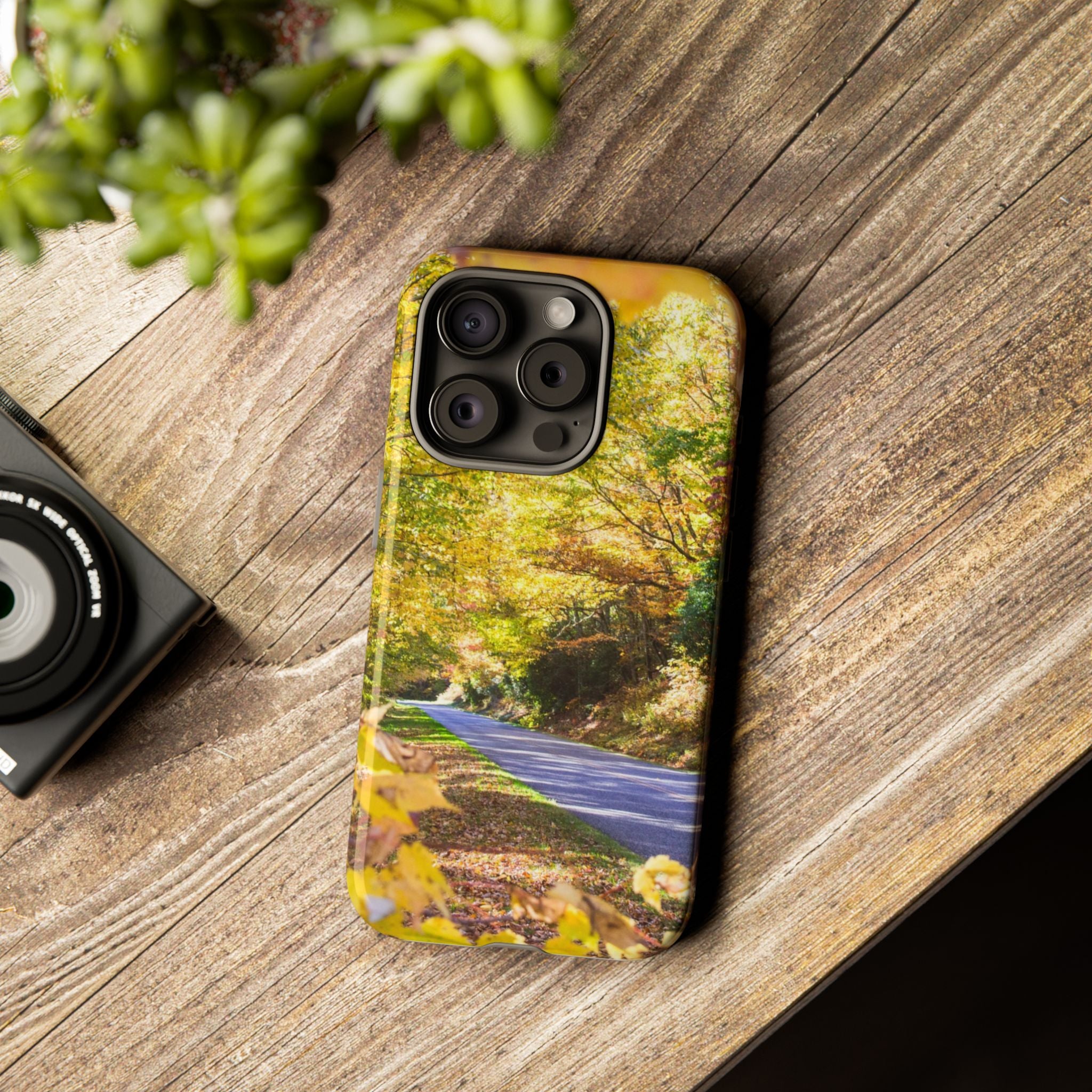Autumn Landscape Phone Case - Nature Lover Gift, Fall Decor, Eco-Friendly Case, Phone Accessory for Hiking Enthusiasts