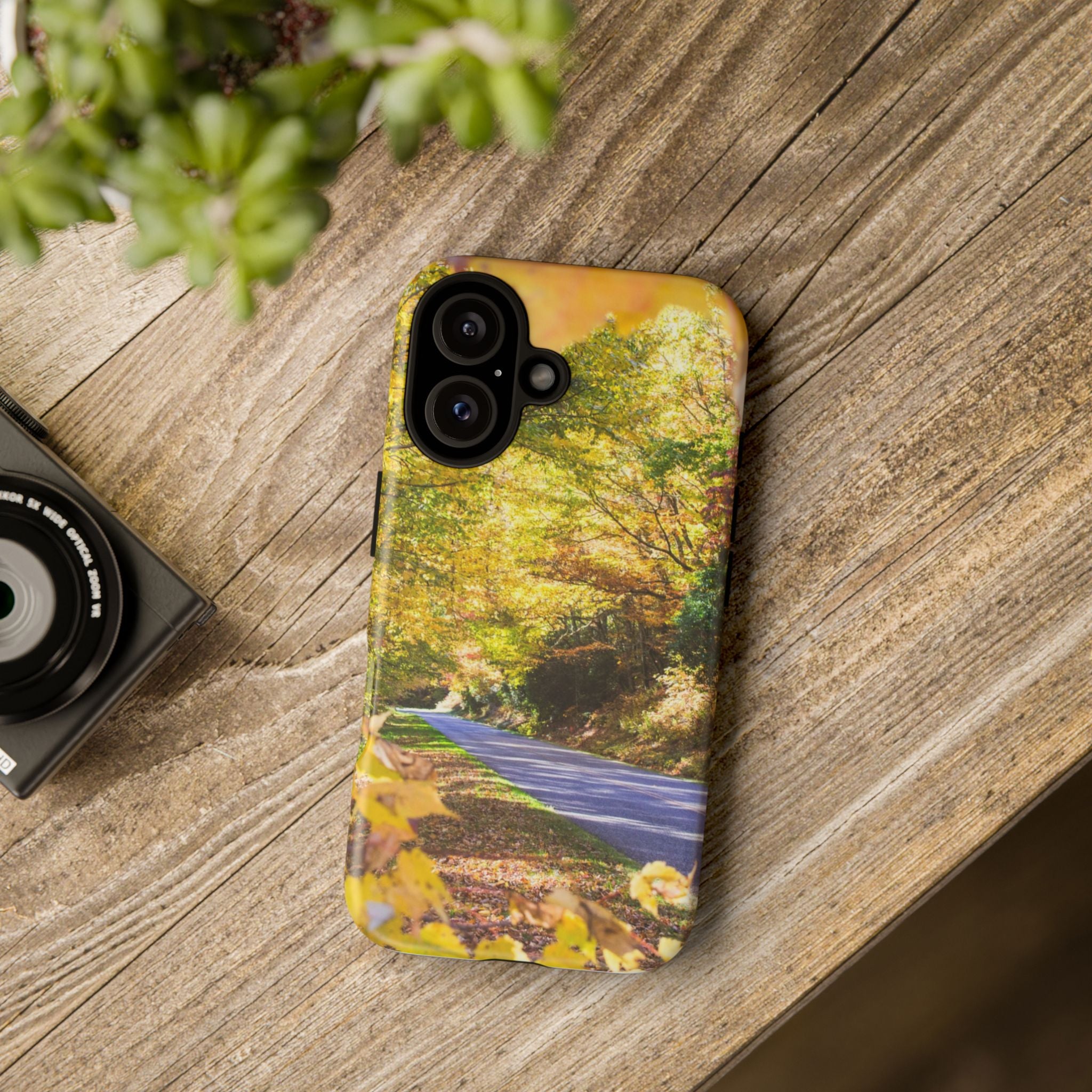 Autumn Landscape Phone Case - Nature Lover Gift, Fall Decor, Eco-Friendly Case, Phone Accessory for Hiking Enthusiasts