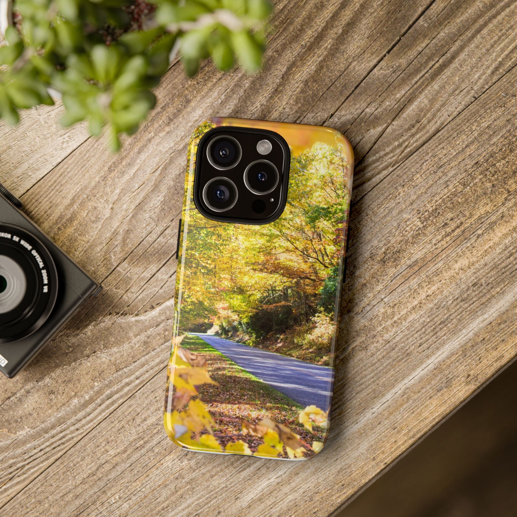 Autumn Landscape Phone Case - Nature Lover Gift, Fall Decor, Eco-Friendly Case, Phone Accessory for Hiking Enthusiasts