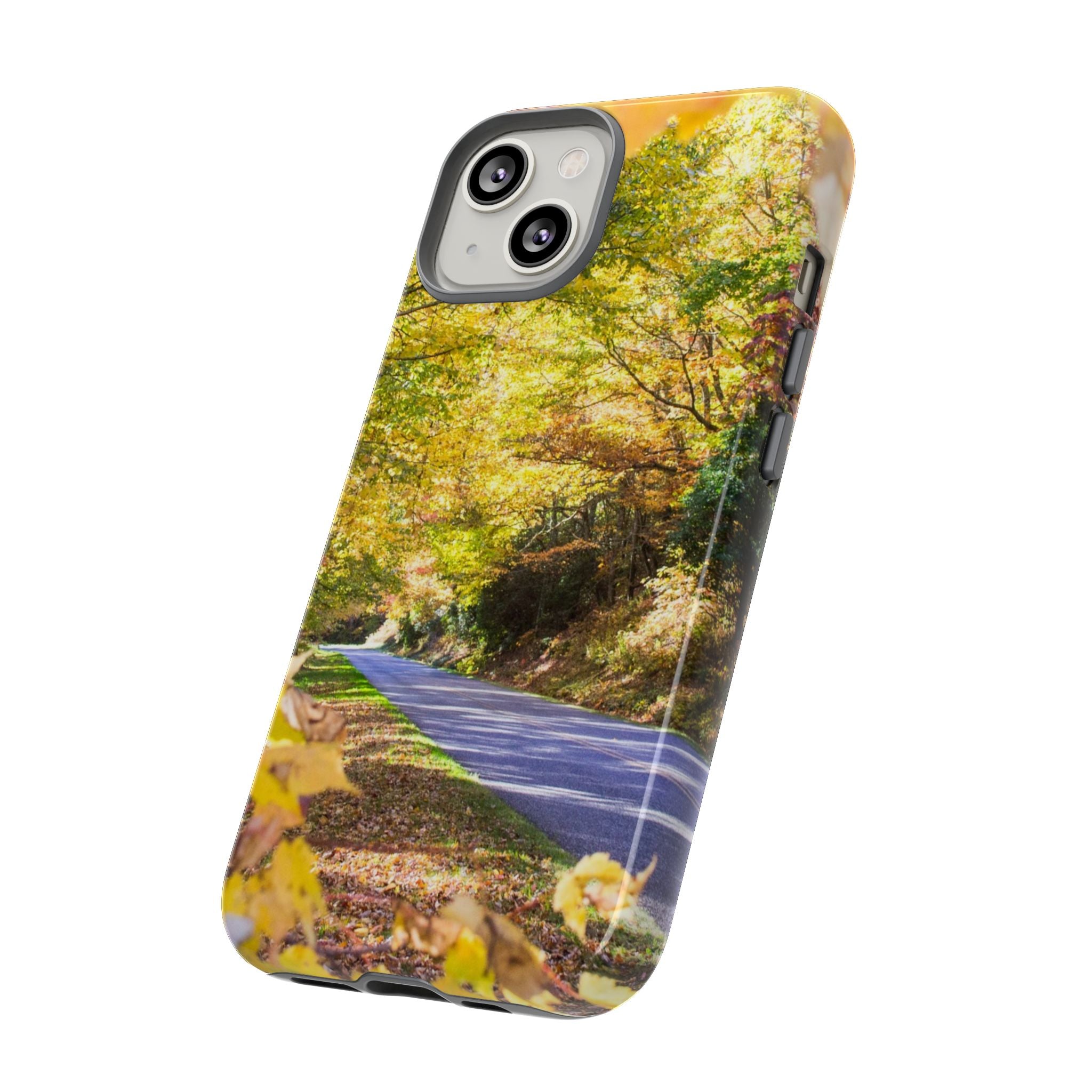 Autumn Landscape Phone Case - Nature Lover Gift, Fall Decor, Eco-Friendly Case, Phone Accessory for Hiking Enthusiasts