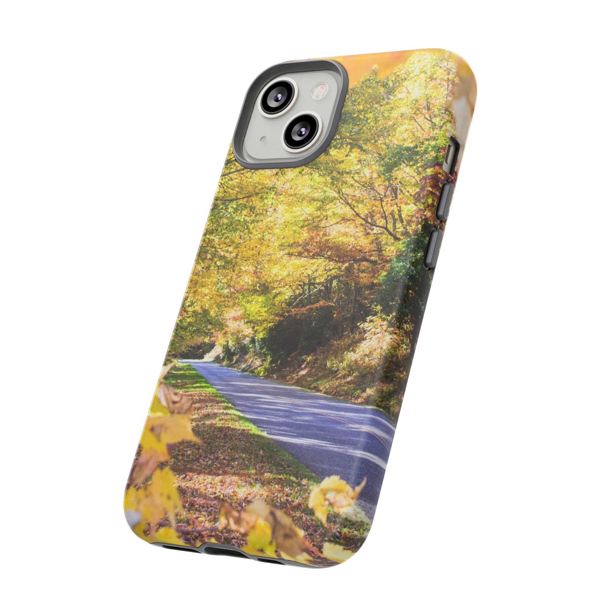 Autumn Landscape Phone Case - Nature Lover Gift, Fall Decor, Eco-Friendly Case, Phone Accessory for Hiking Enthusiasts