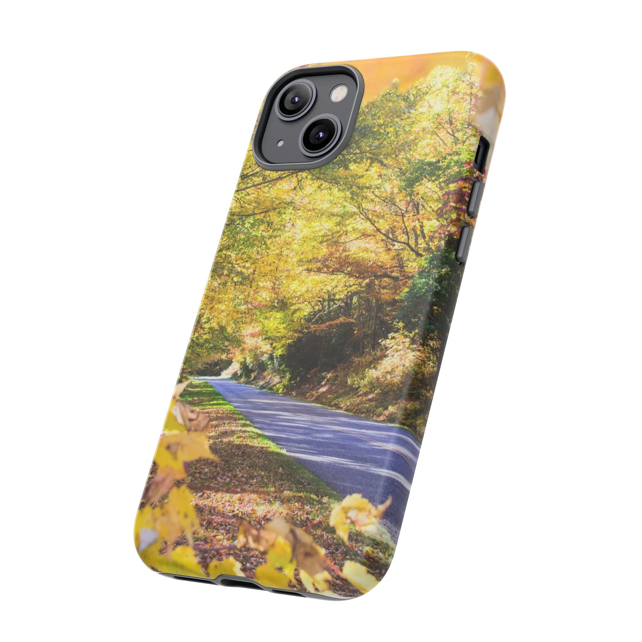 Autumn Landscape Phone Case - Nature Lover Gift, Fall Decor, Eco-Friendly Case, Phone Accessory for Hiking Enthusiasts