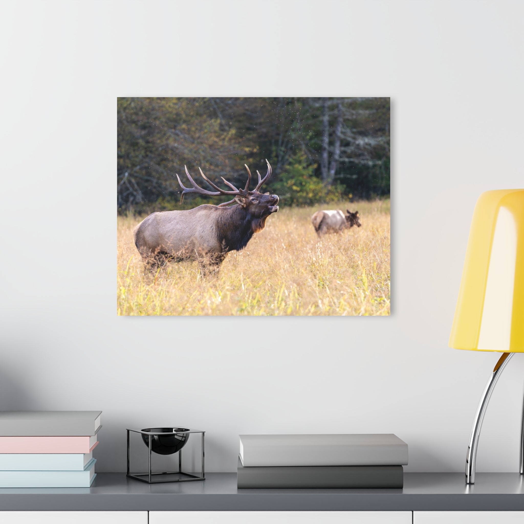 Nature-Inspired Acrylic Wall Art Print, Home Decor, Rustic Wall Art, Elk Photography, Wildlife Lover Gift, Wall Hanging Decoration