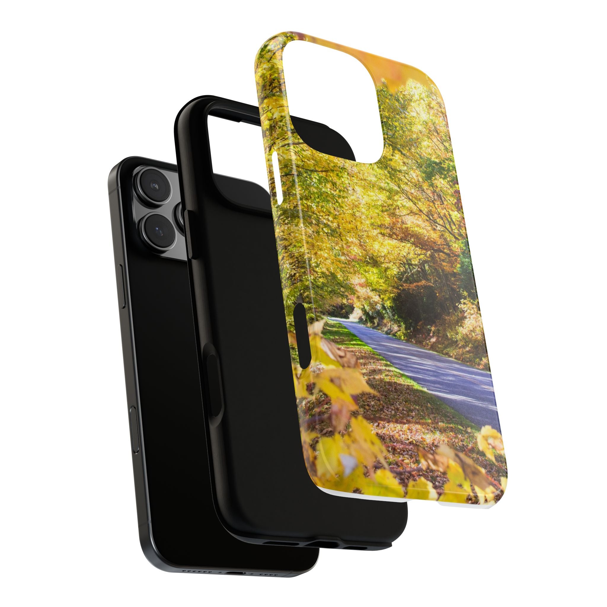 Autumn Landscape Phone Case - Nature Lover Gift, Fall Decor, Eco-Friendly Case, Phone Accessory for Hiking Enthusiasts