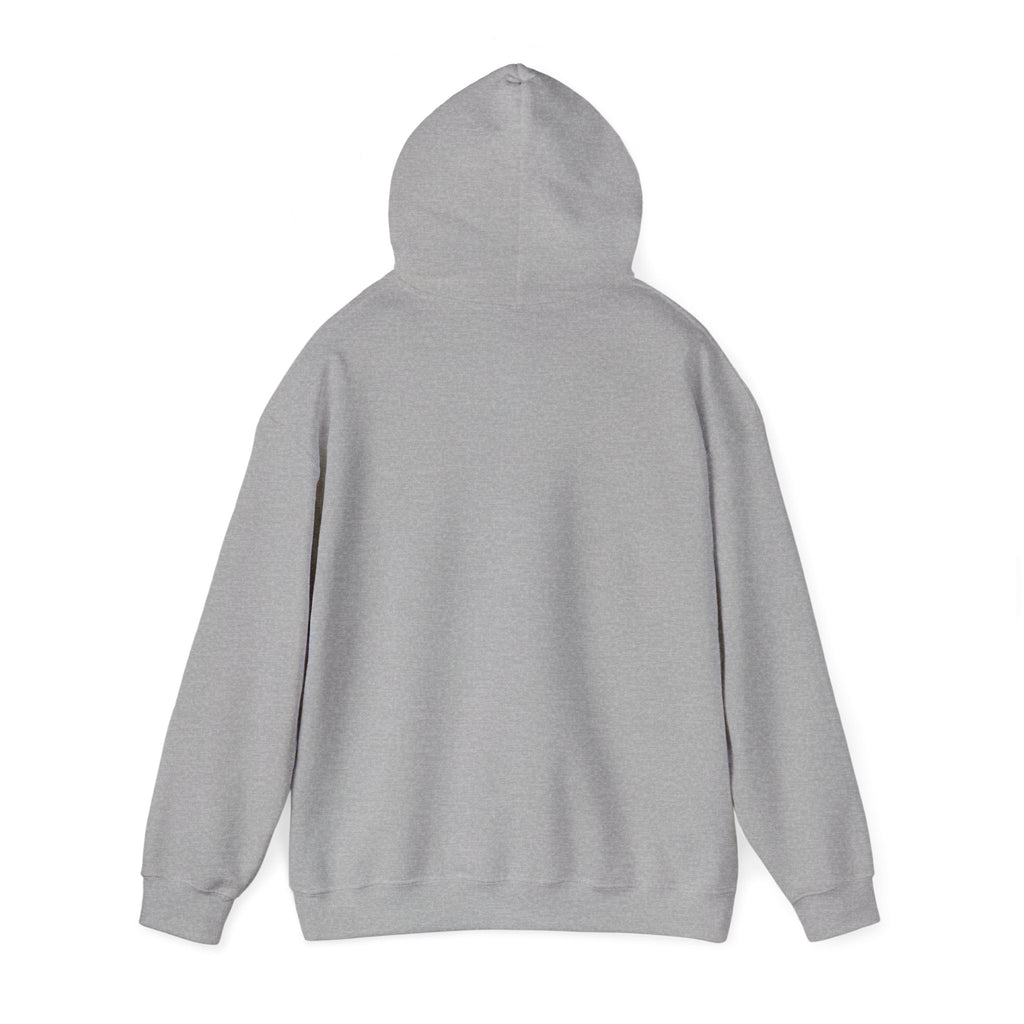 Fleece Hoodie - Fall Color in the Blue Ridge Mountains Graphic